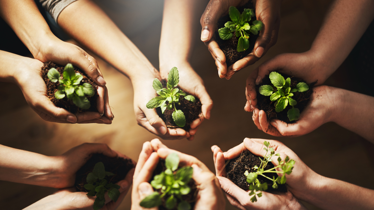 Why Sustainability Is Becoming a Core Part of Corporate Culture
