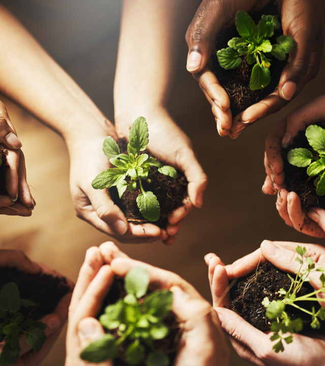 Why Sustainability Is Becoming a Core Part of Corporate Culture